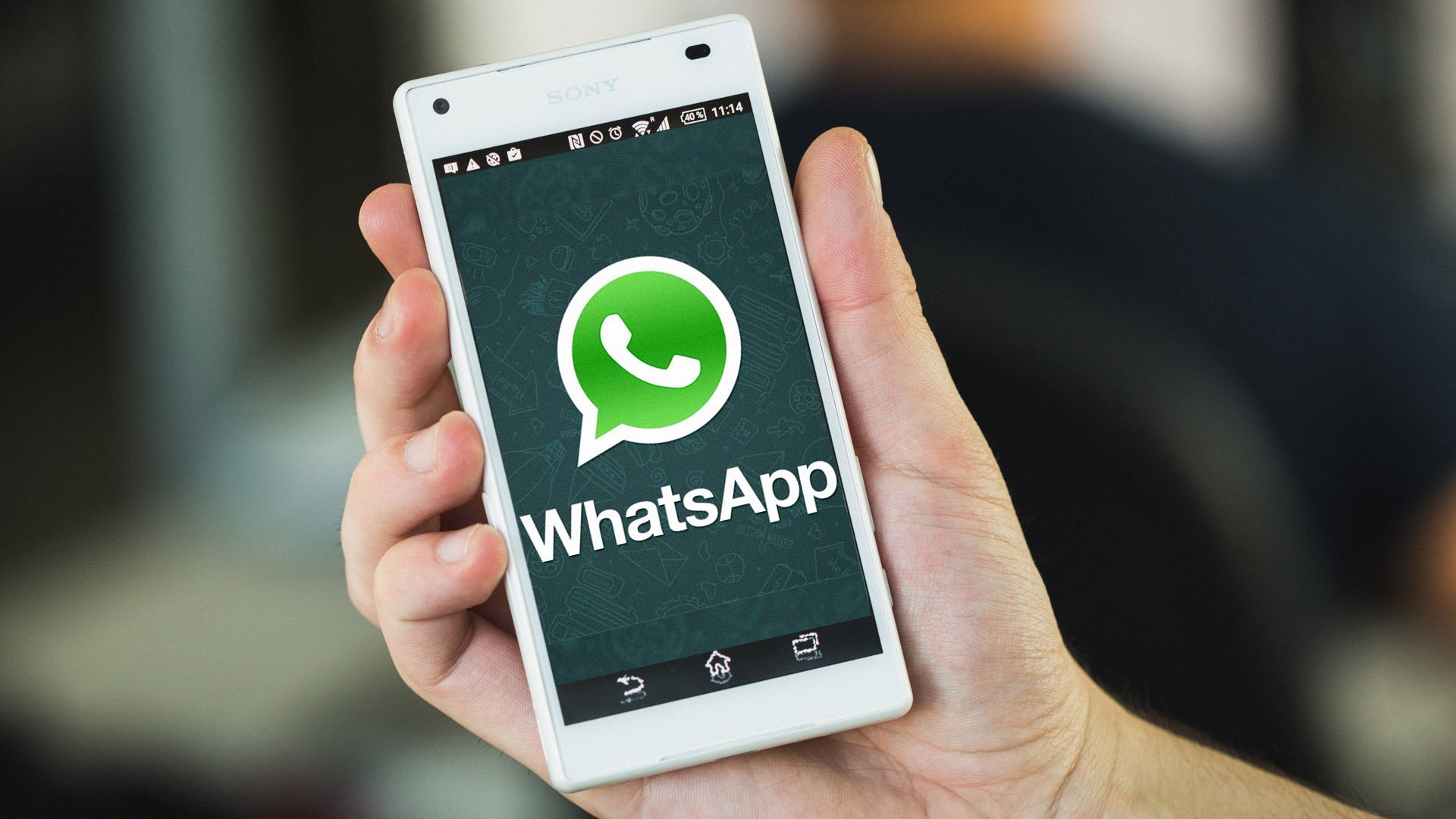 How to spy WhatsApp messages online for free